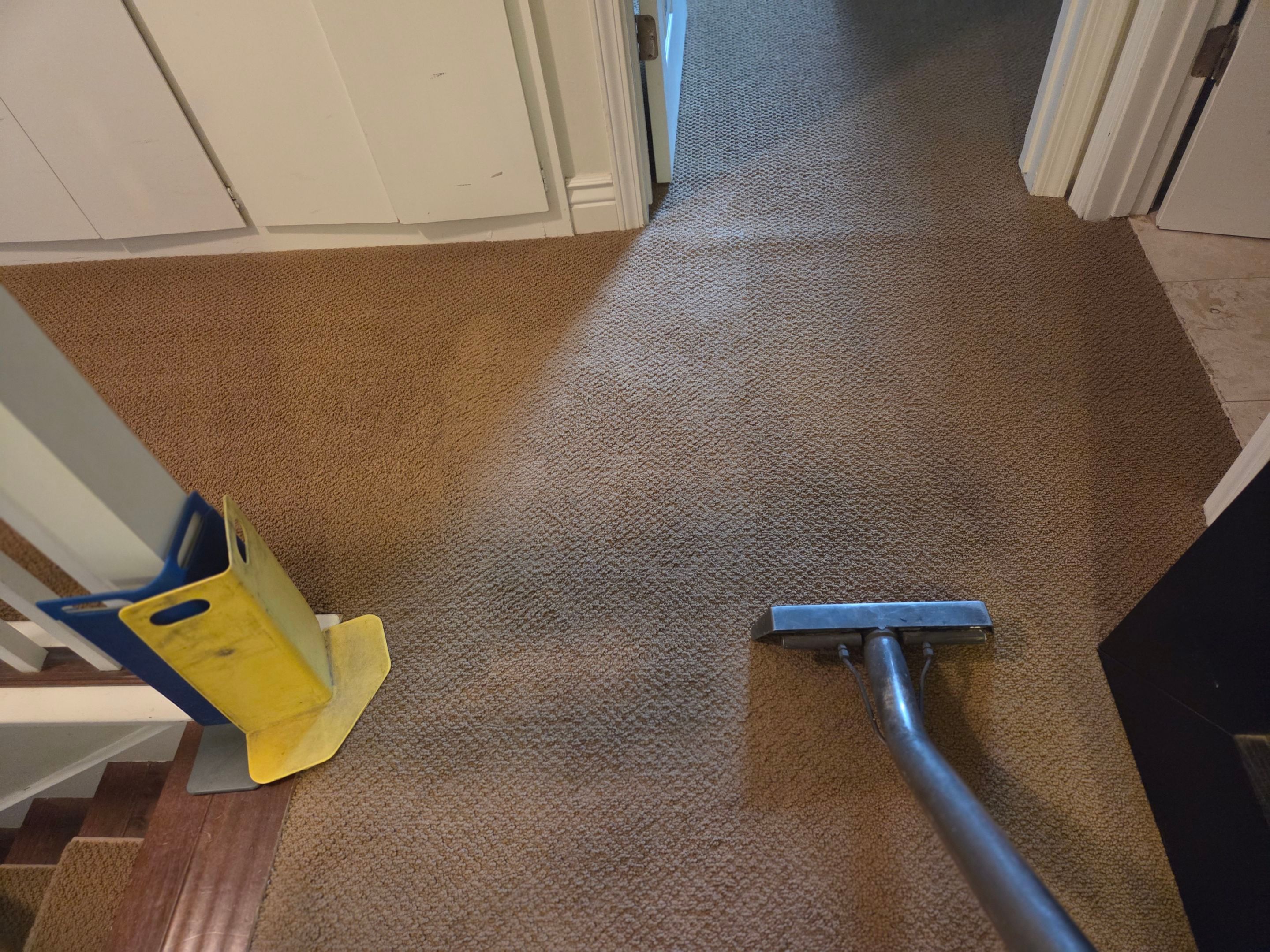Carpet Cleaning in Folsom by Ardent Carpet Restore LLC