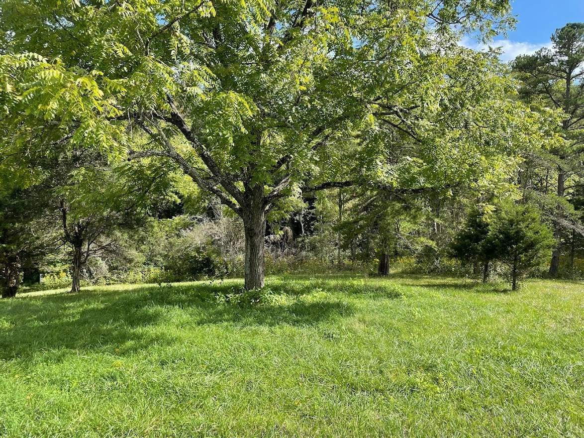 Clay street  by Back To Nature Landscaping & Construction