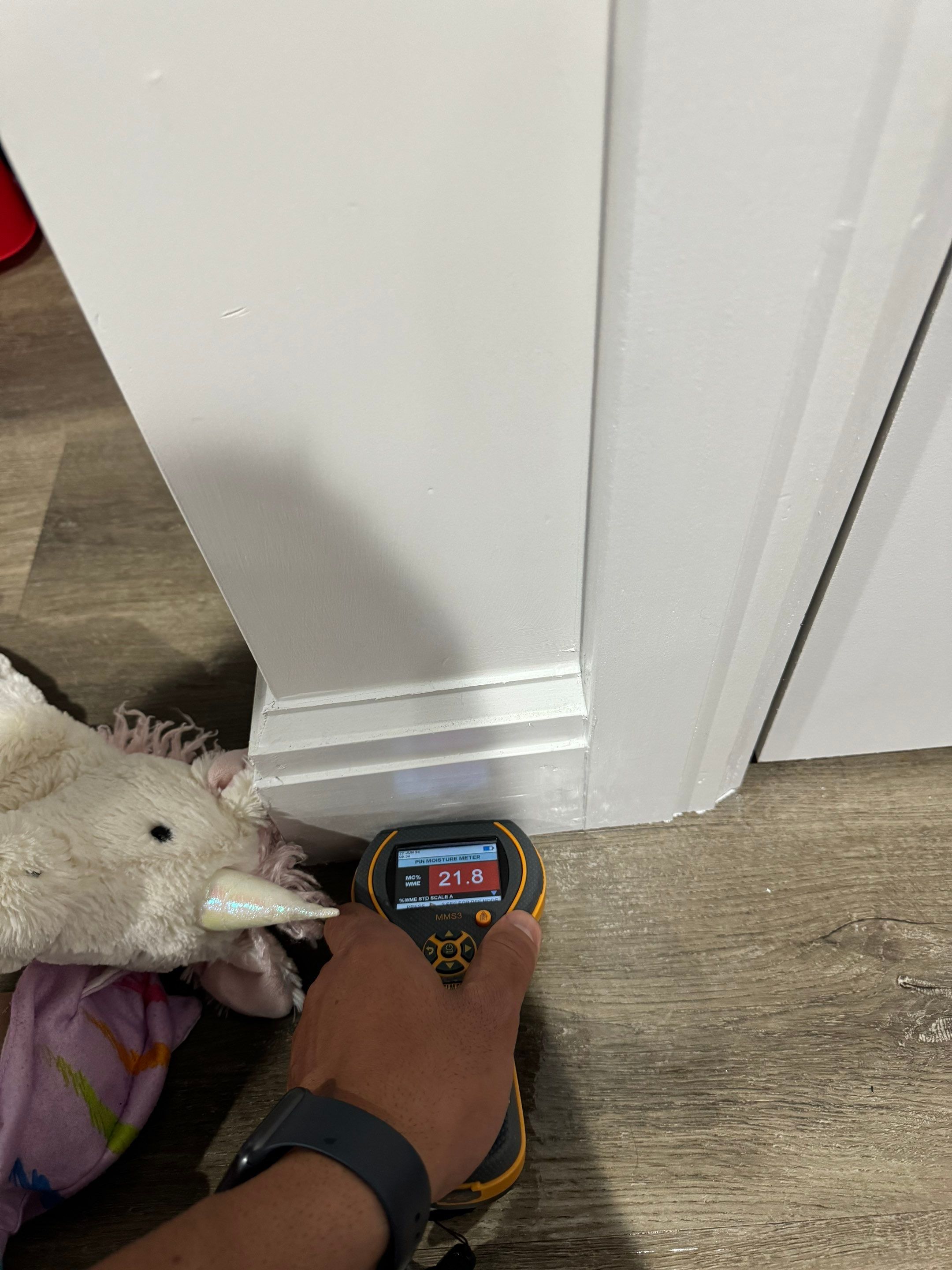 Project in West Bloomfield Township by EzDry Water Mitigation & Property Restoration