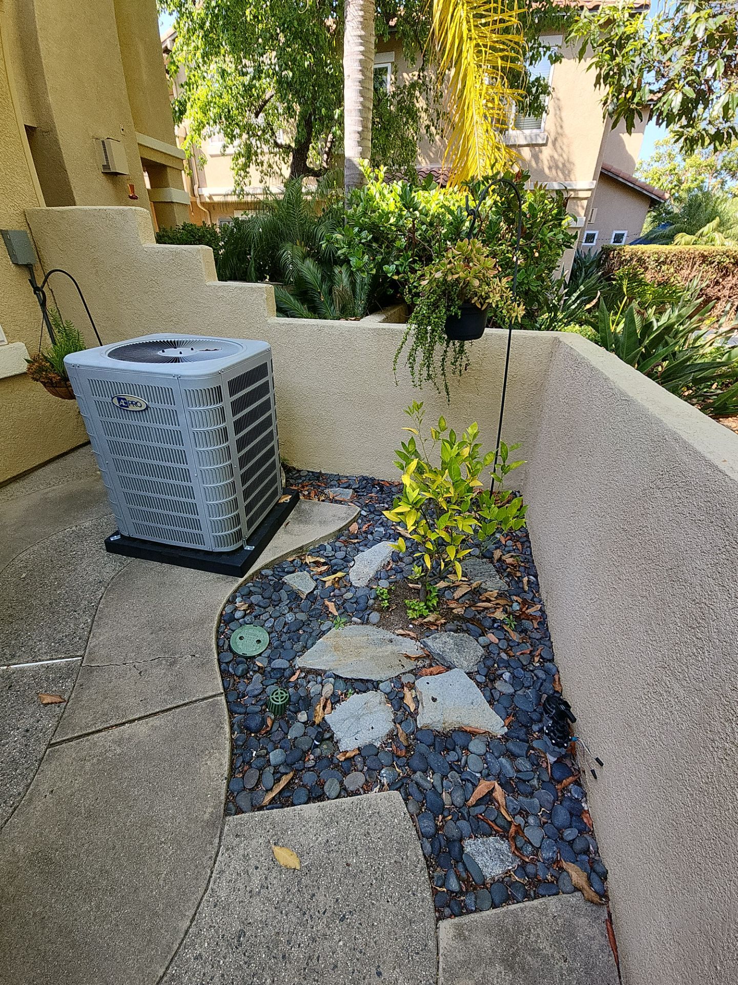 Small Patio Clean Up in Carlsbad by Yard Techs