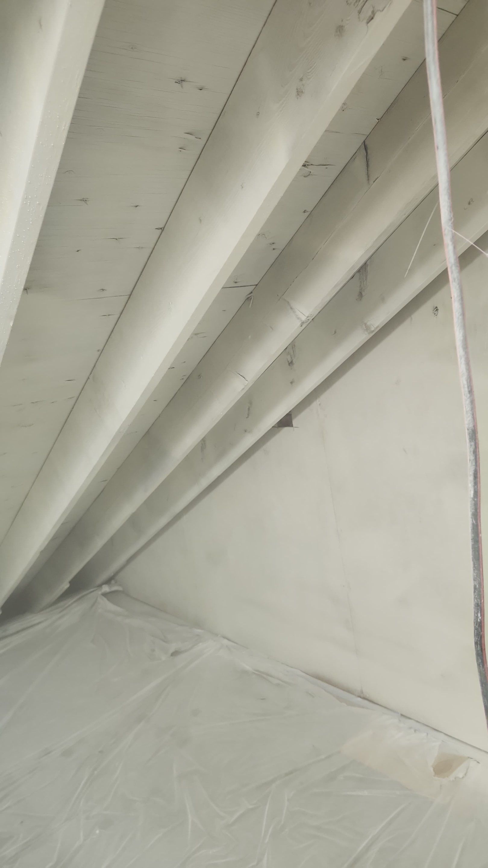 Attic Mold Remediation in Montville, NJ by Pure Service Pro, LLC