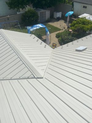 Metal Roofing, Skylights, Porch Build