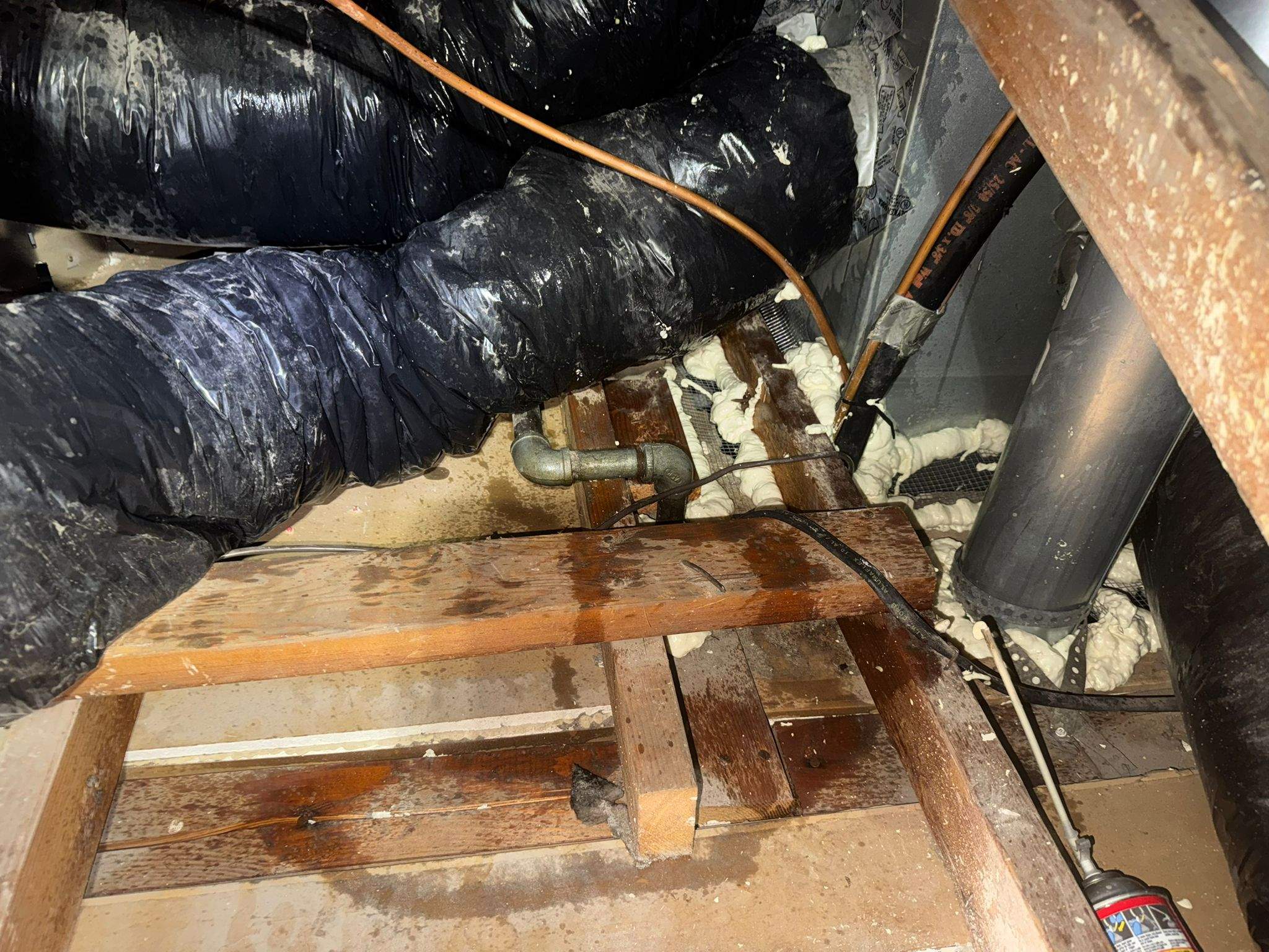 Project by Advanced Attic Solutions by Advanced Attic Solutions