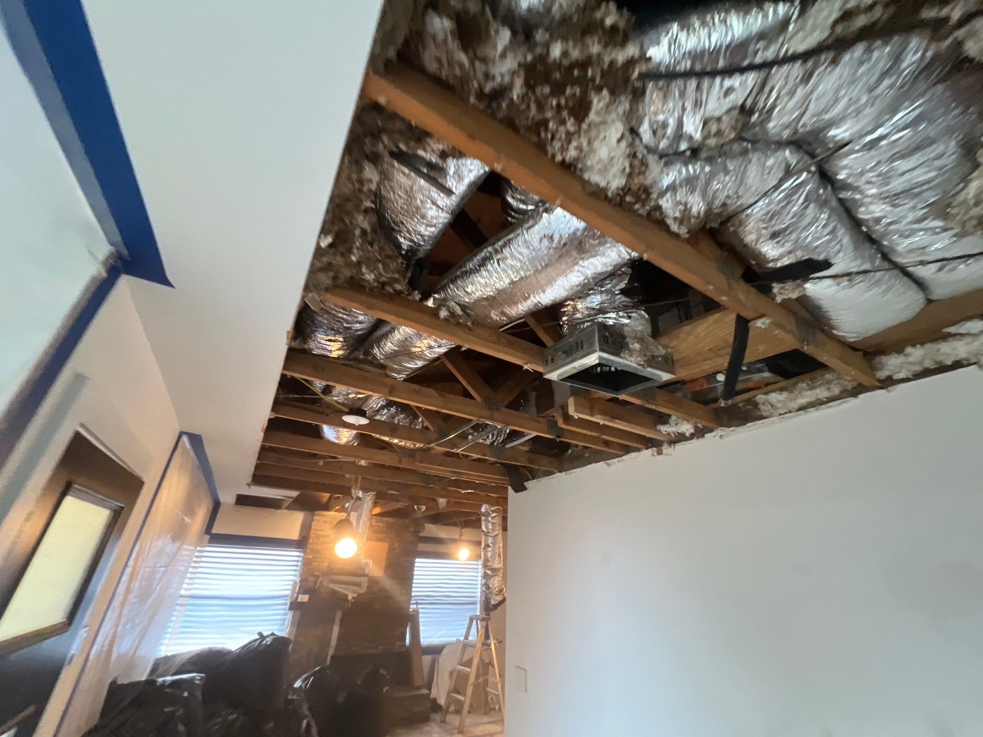 Windstorm Damage & Multi-Room Water Mitigation in St. Petersburg by Right On Time Restoration