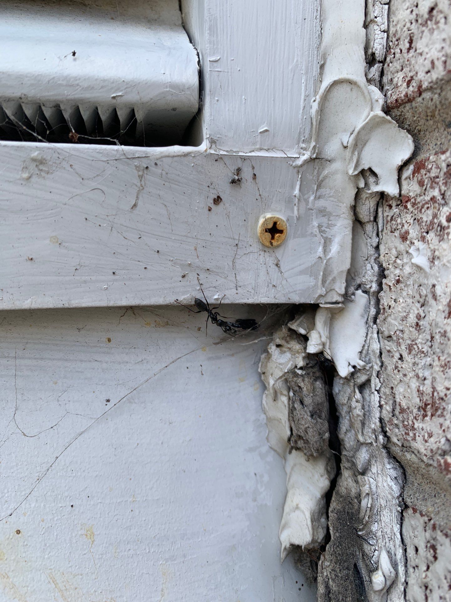 Roof Replacement using CertainTeed Landmark Moire Black by 180 Contractors