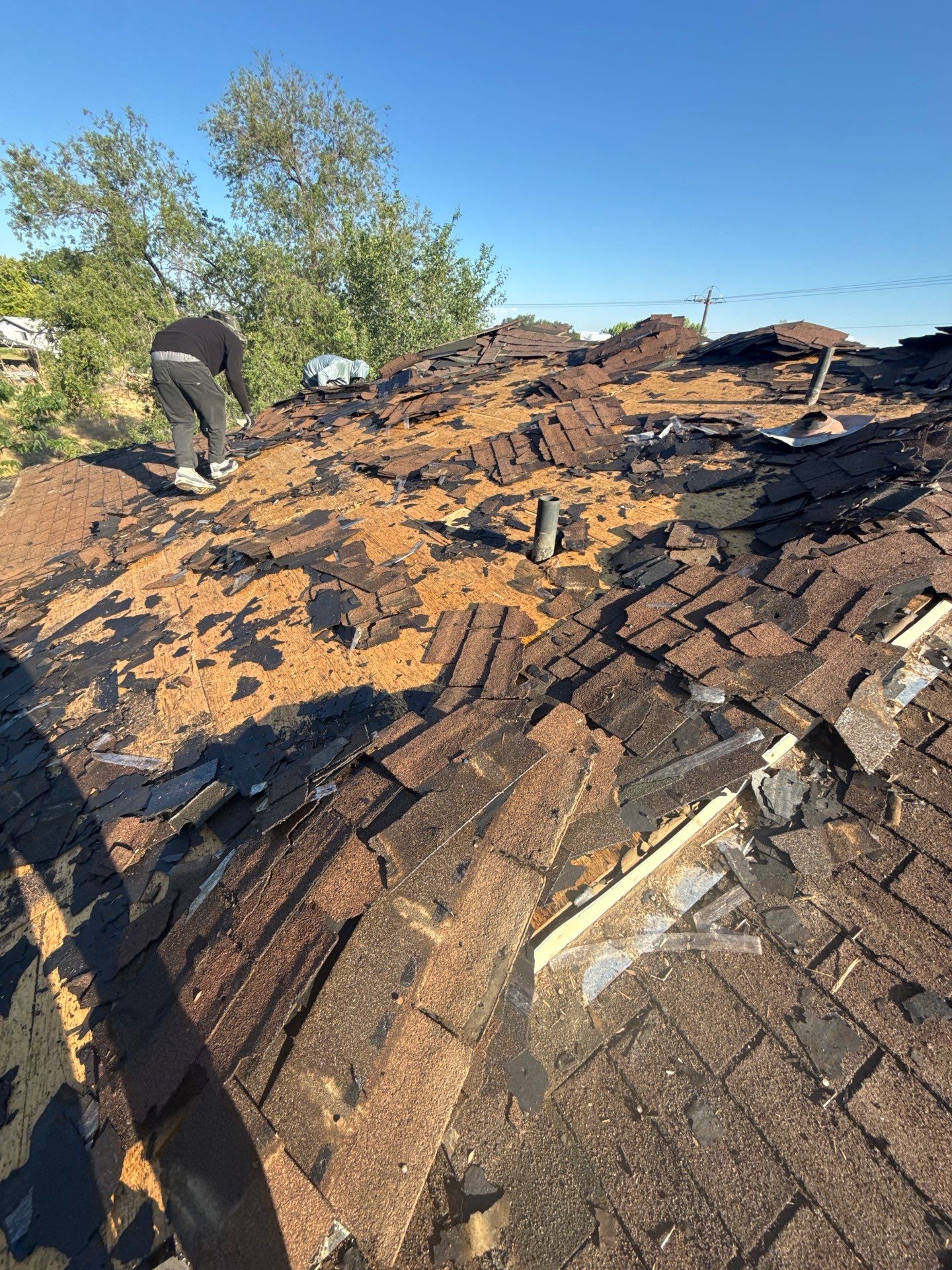 Full Residential Roof Replacement With Architectural Shingles In Fruitland Idaho by Olive Roofing