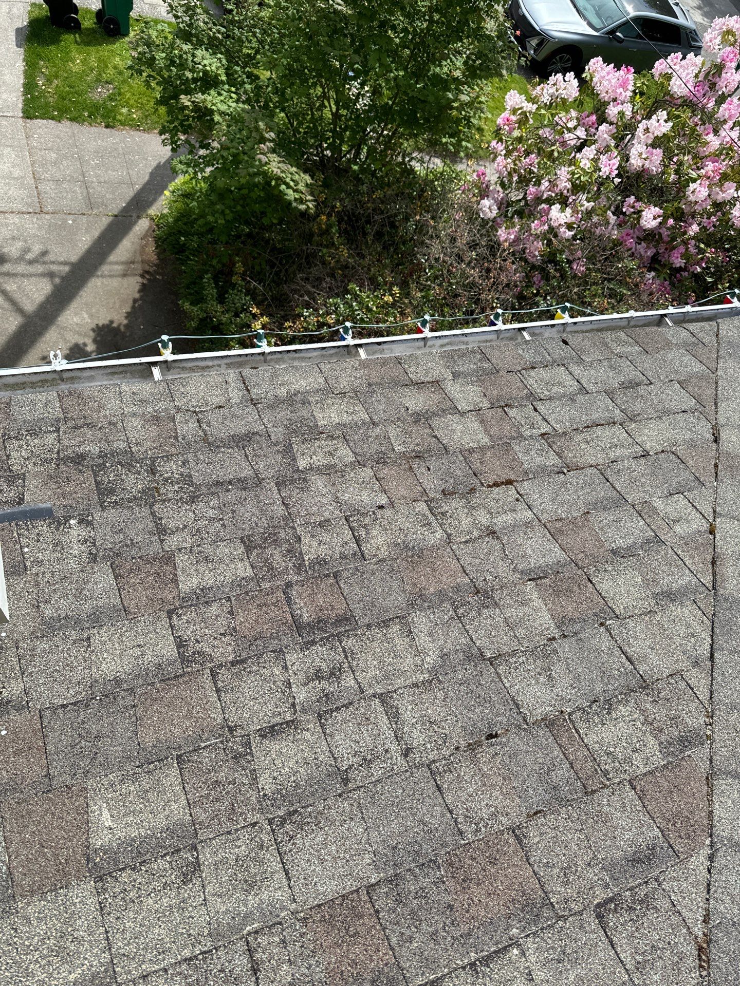 Project in Seattle by Connolly Construction Company