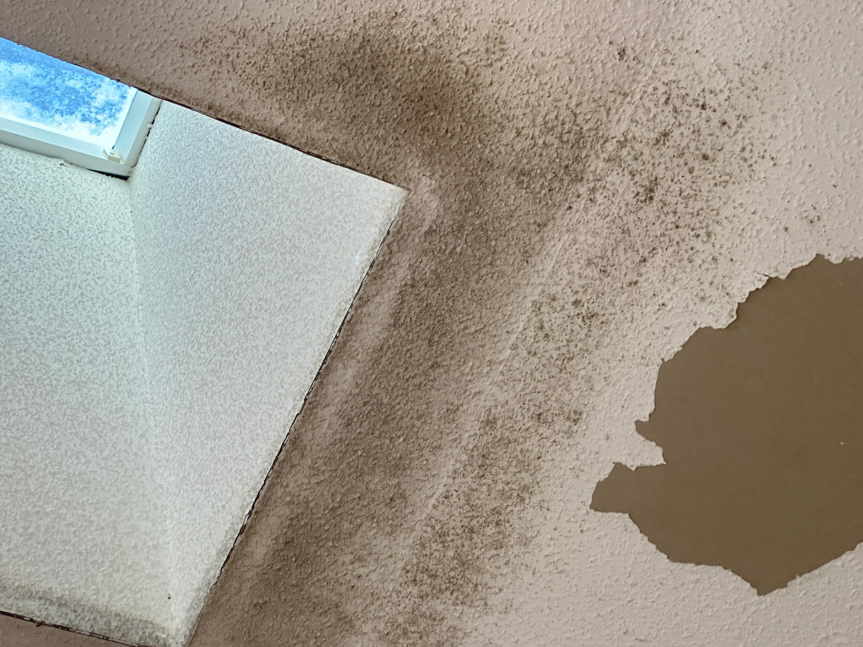 Water Damage Claim in Lecanto by FLAPA & KeyStone