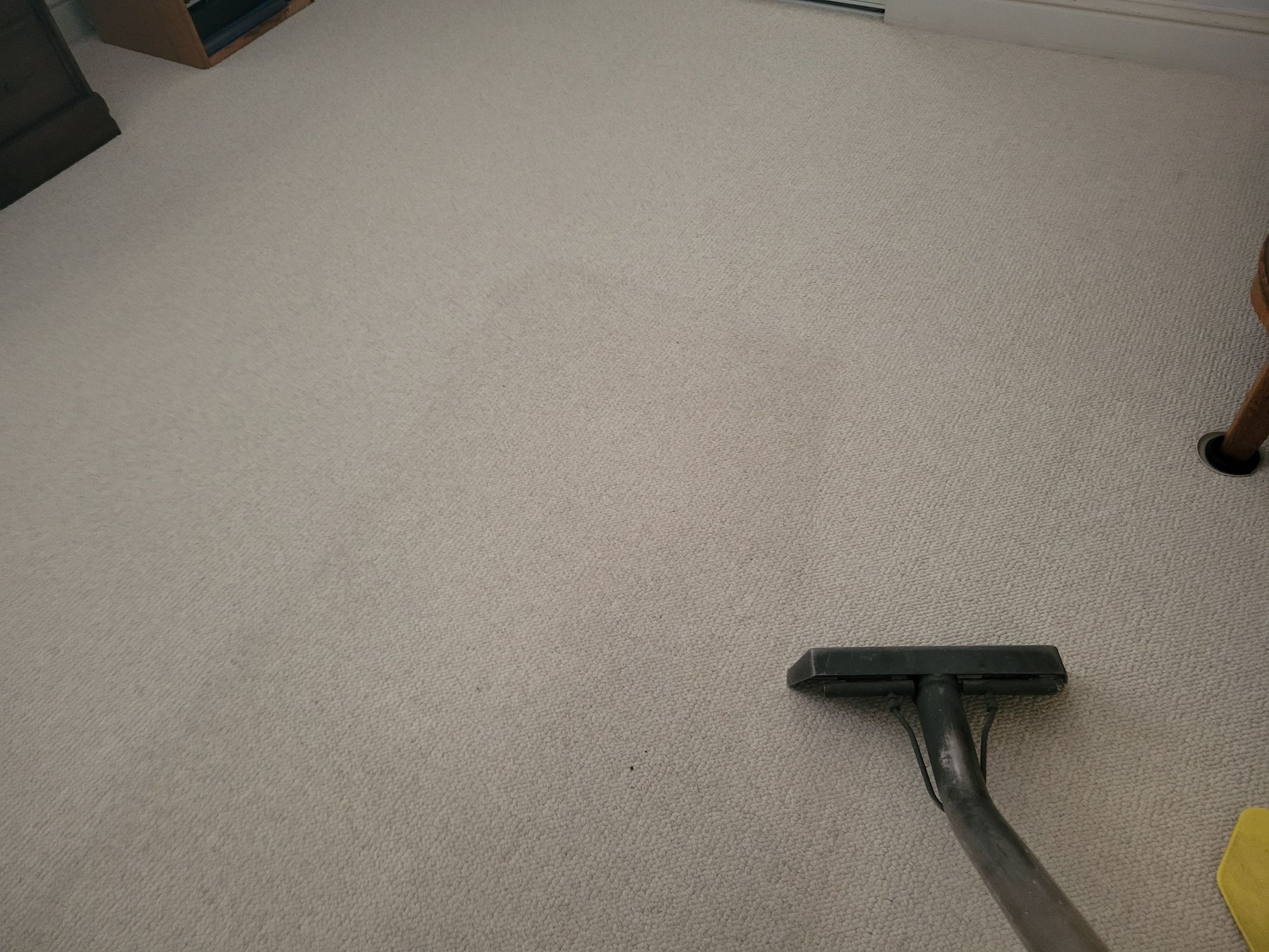 Carpet and Rug Cleaning in Pilot Hill by Ardent Carpet Restore LLC