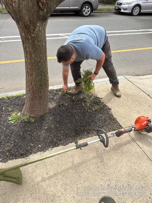 Commercial Property Cleanup and Landscape Maintenance in New Haven