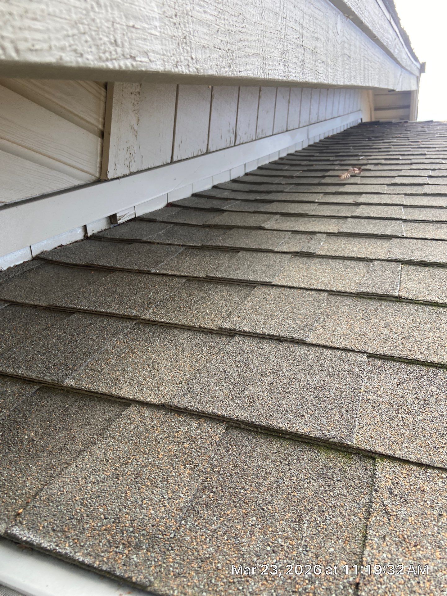 Roof Rejuvenation using Roof Maxx Treatment by Roof Maxx of Folsom