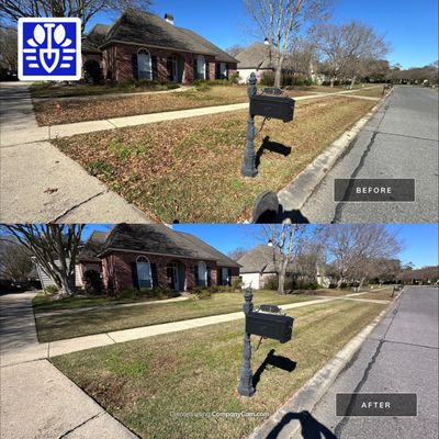 WINTER SERVICES: FULL LEAF JOB