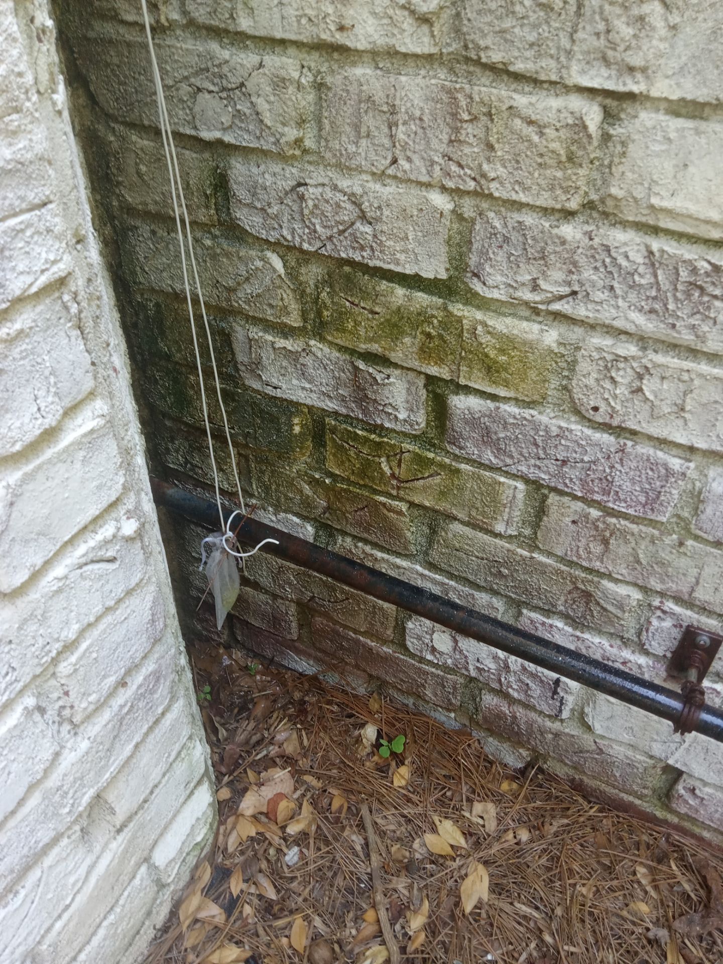 pressure washing mold and grime off exterior brick wall surfaces