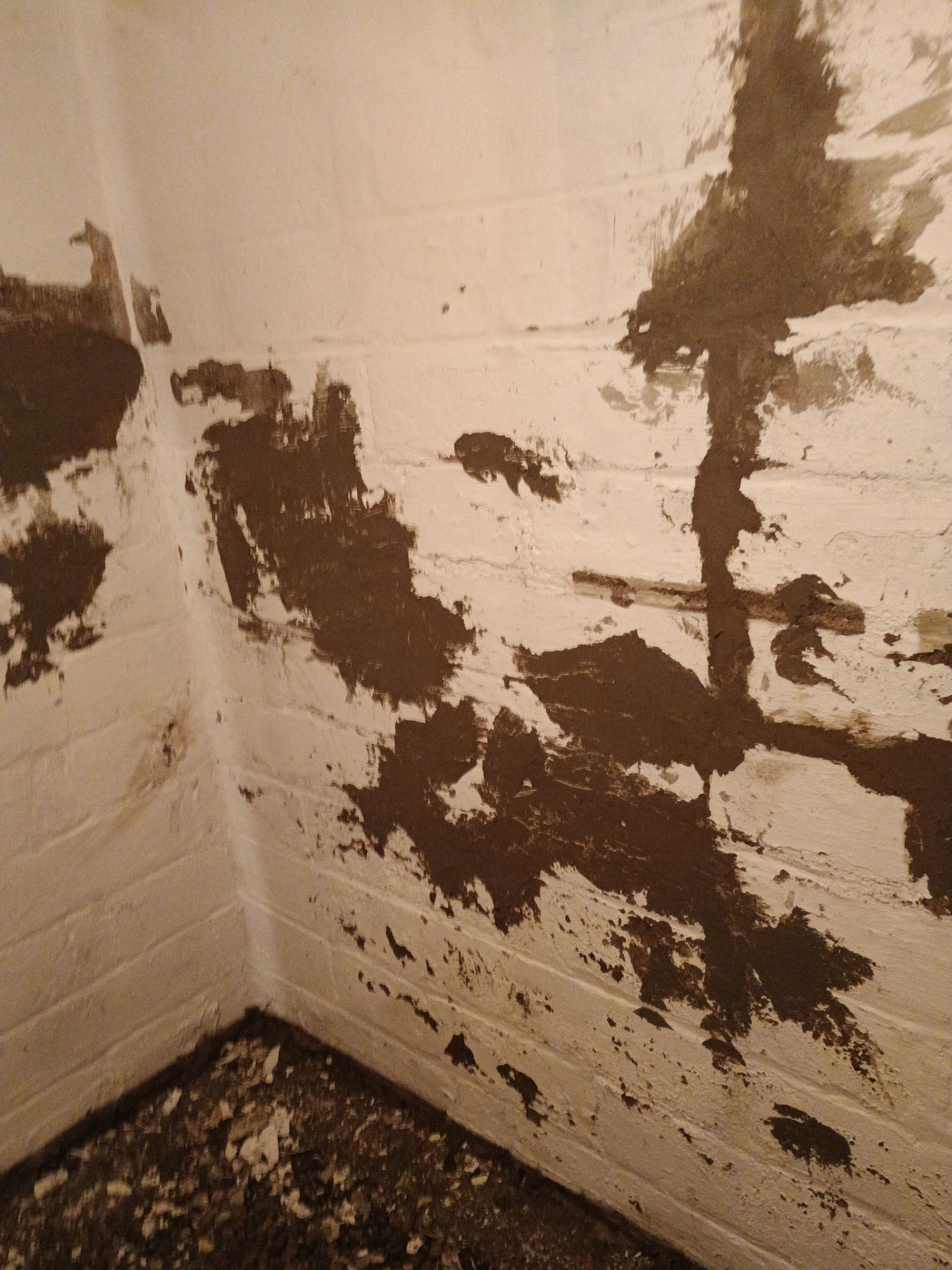 Updating Taylor's Waterproofing System by Waterproofing Northeast