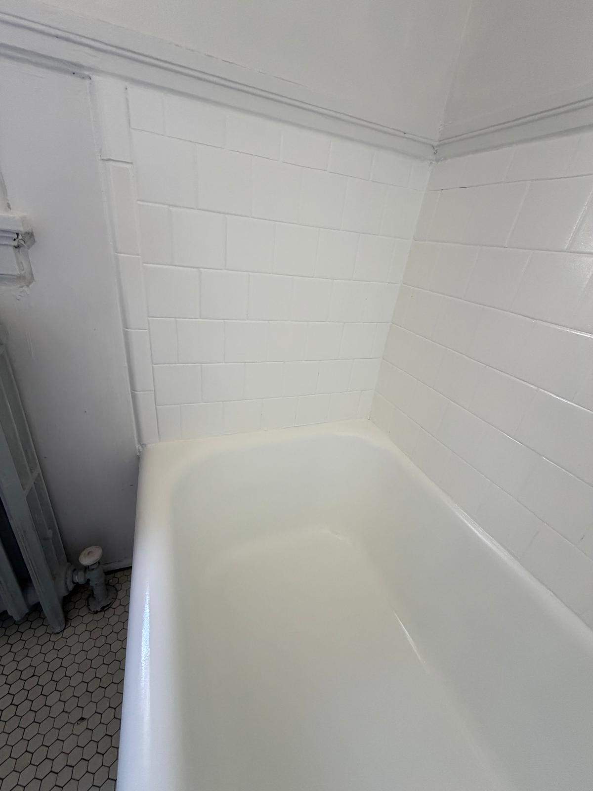 Bathtub renovation  by Alpha and Omega Pro Services