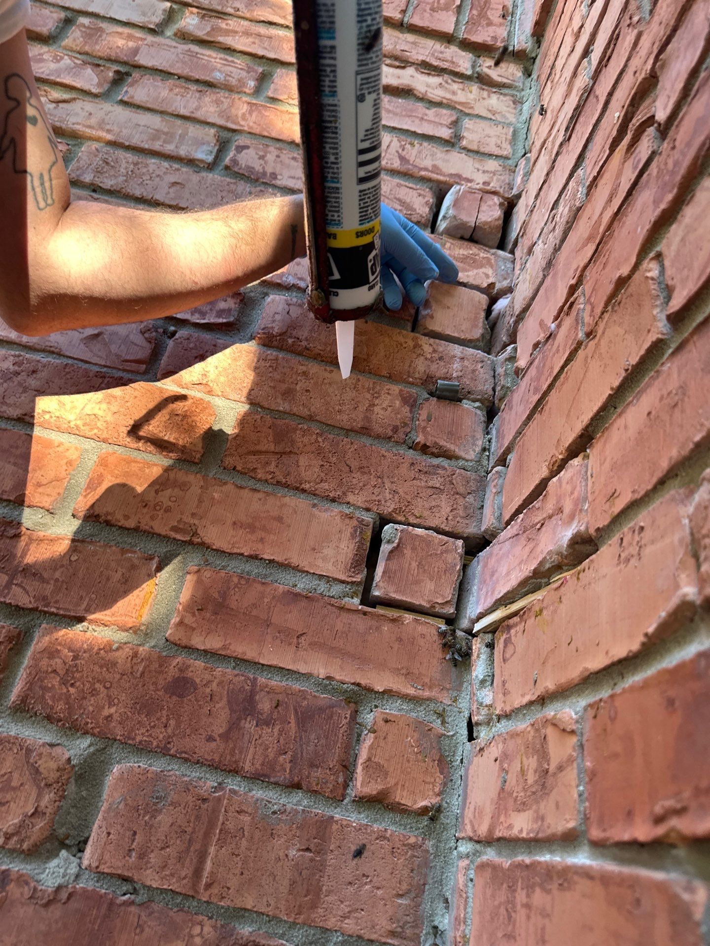 Bees Behind Bricks by Rockwall Honey Bee Company