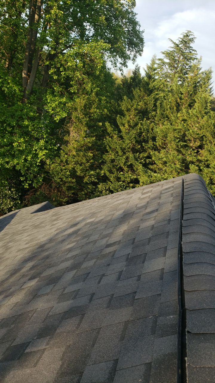 Great Falls: CertainTeed Landmark Pro Designer Shingles in Max Def Moire Black by RM Banning, Inc.