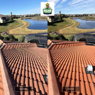 Tile Roof Cleaning