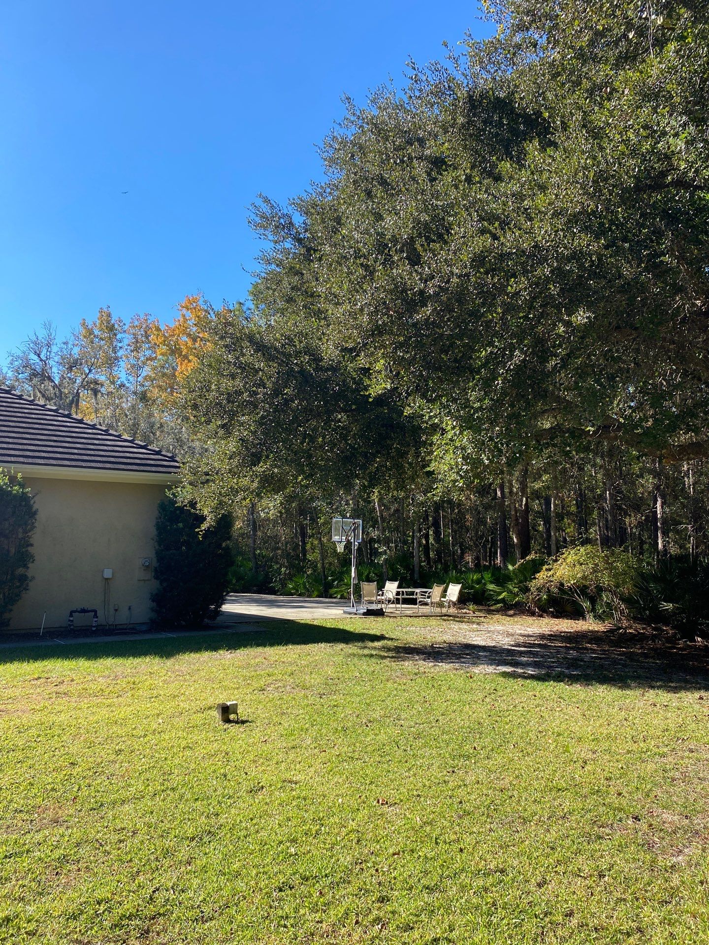 Deerwood Residence | Tree Work by ProGreen Services