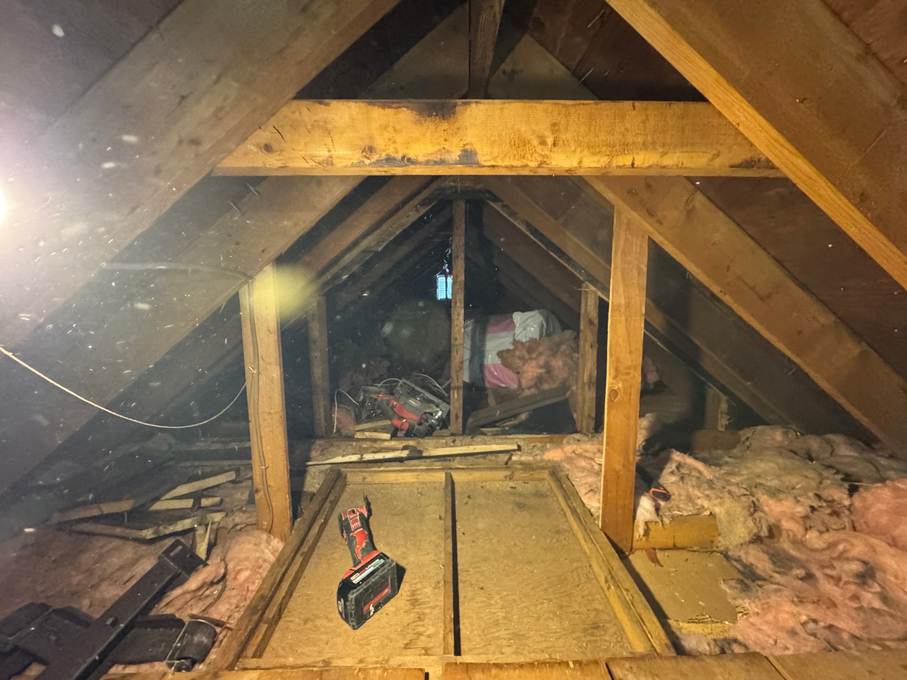 Attic Mold Remediation using Home Guarantee by Home Guarantee, LLC