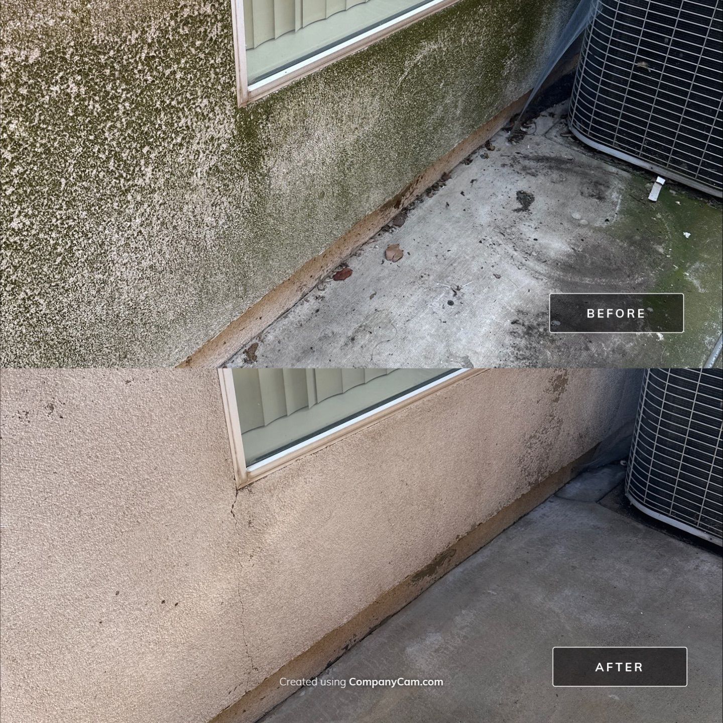This home was COVERED in growth by Property Cleaning Experts, LLC