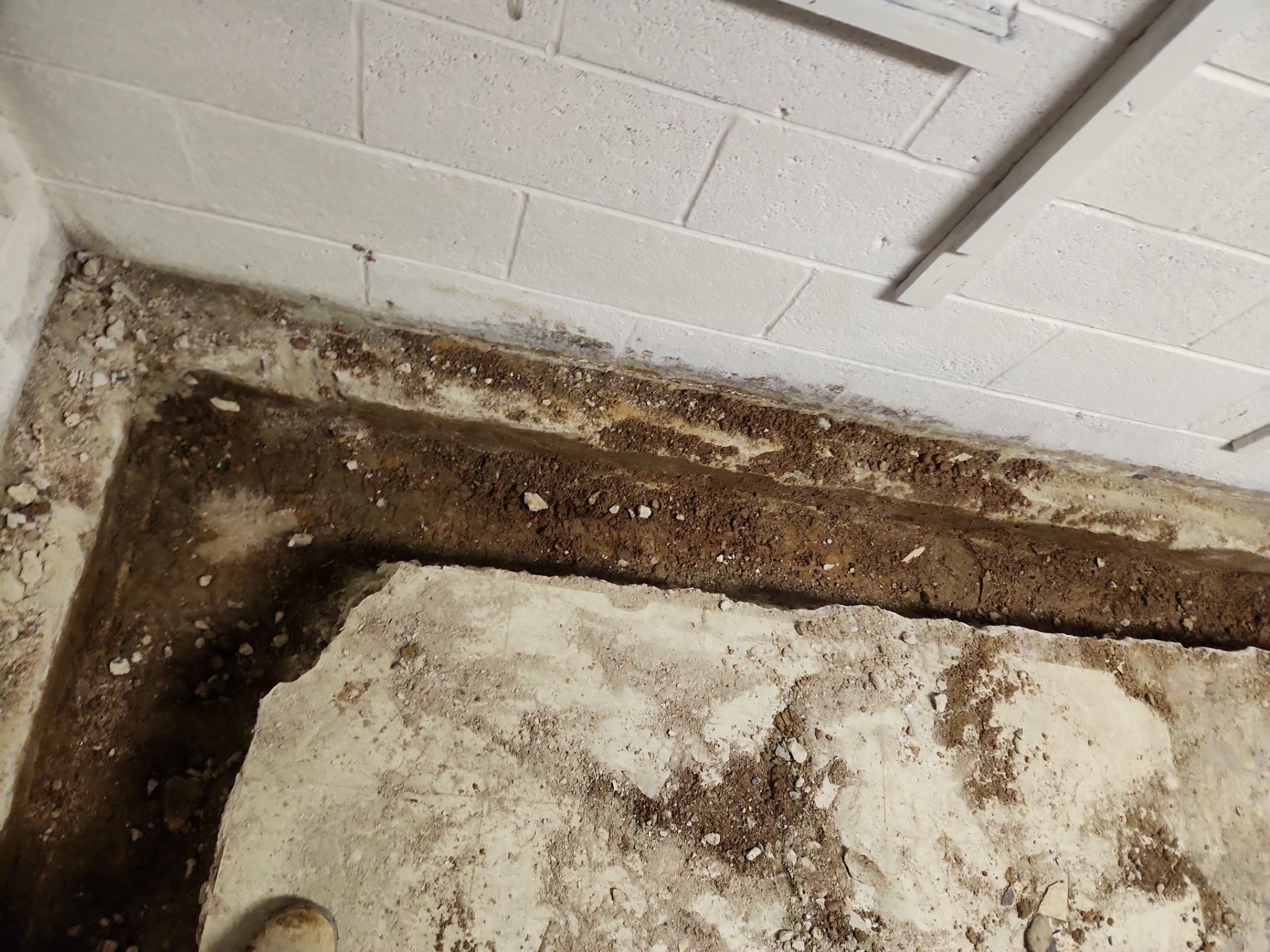 Interior French Drain & Mold Remediation Project in Manville, New Jersey by Pure Service Pro, LLC 