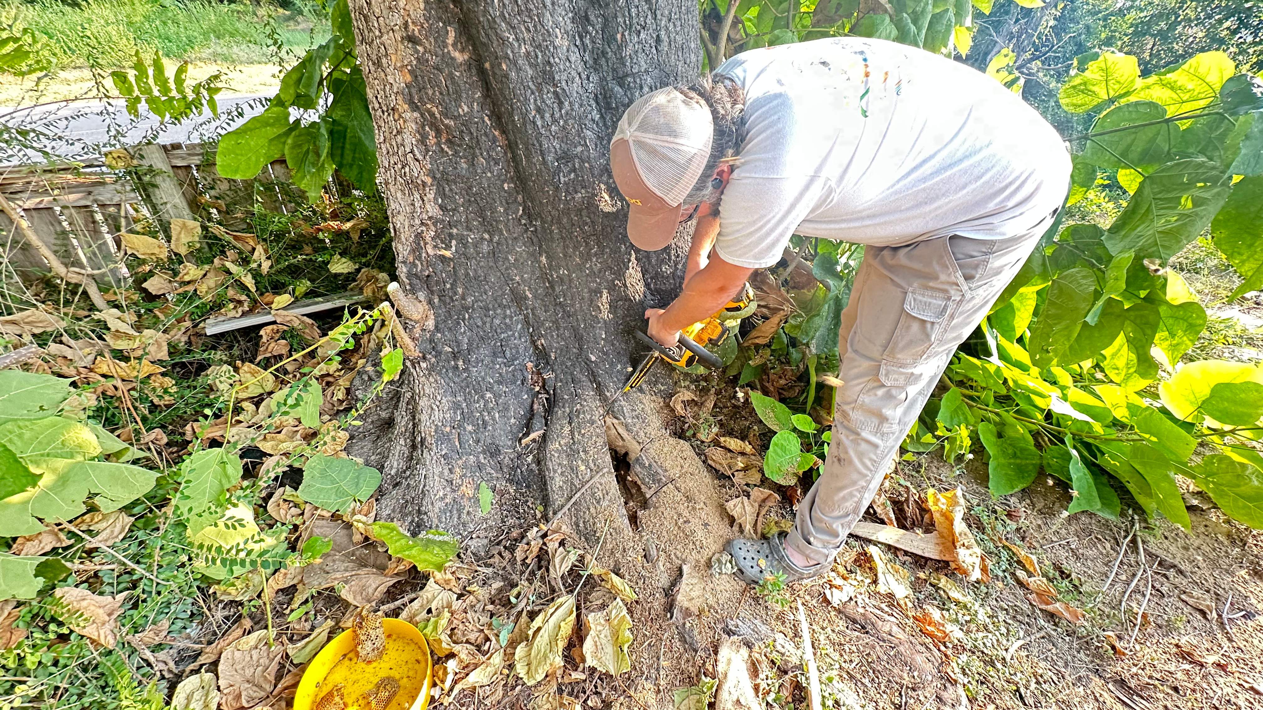 City Tree Company  by Rockwall Honey Bee Company