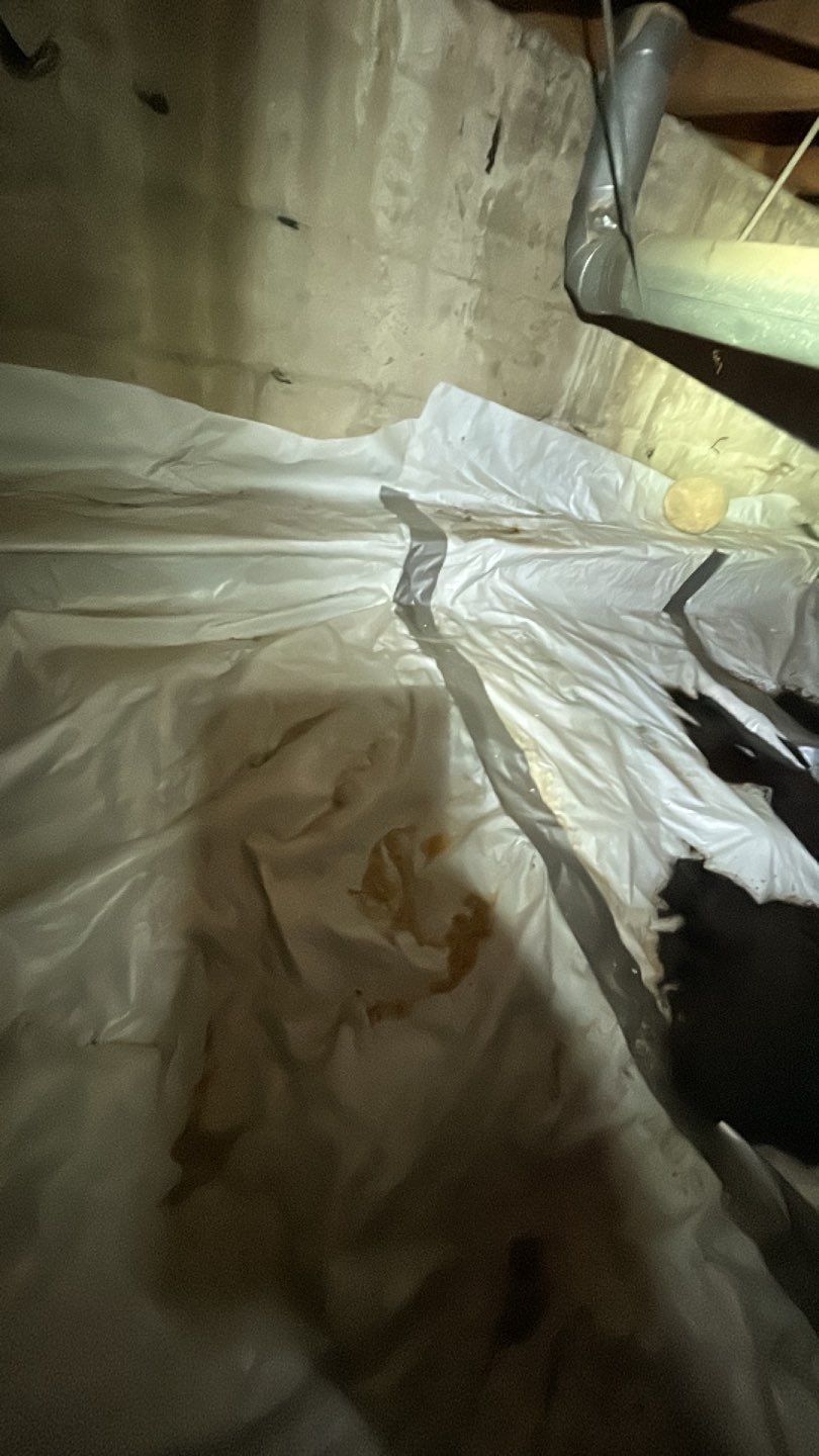 Sewage Backup by Accountable Home Services