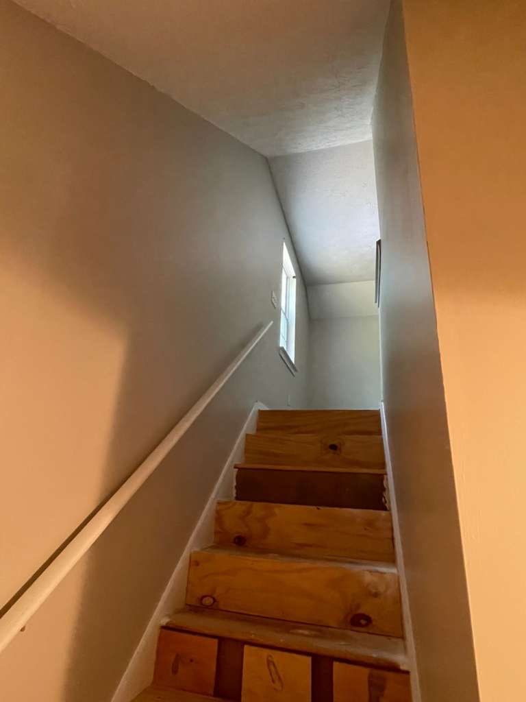 Whole-Home Interior Repaint and Neutral Color Transformation by PGP Surface Solutions, LLC