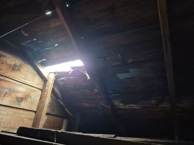 Project in Corvallis