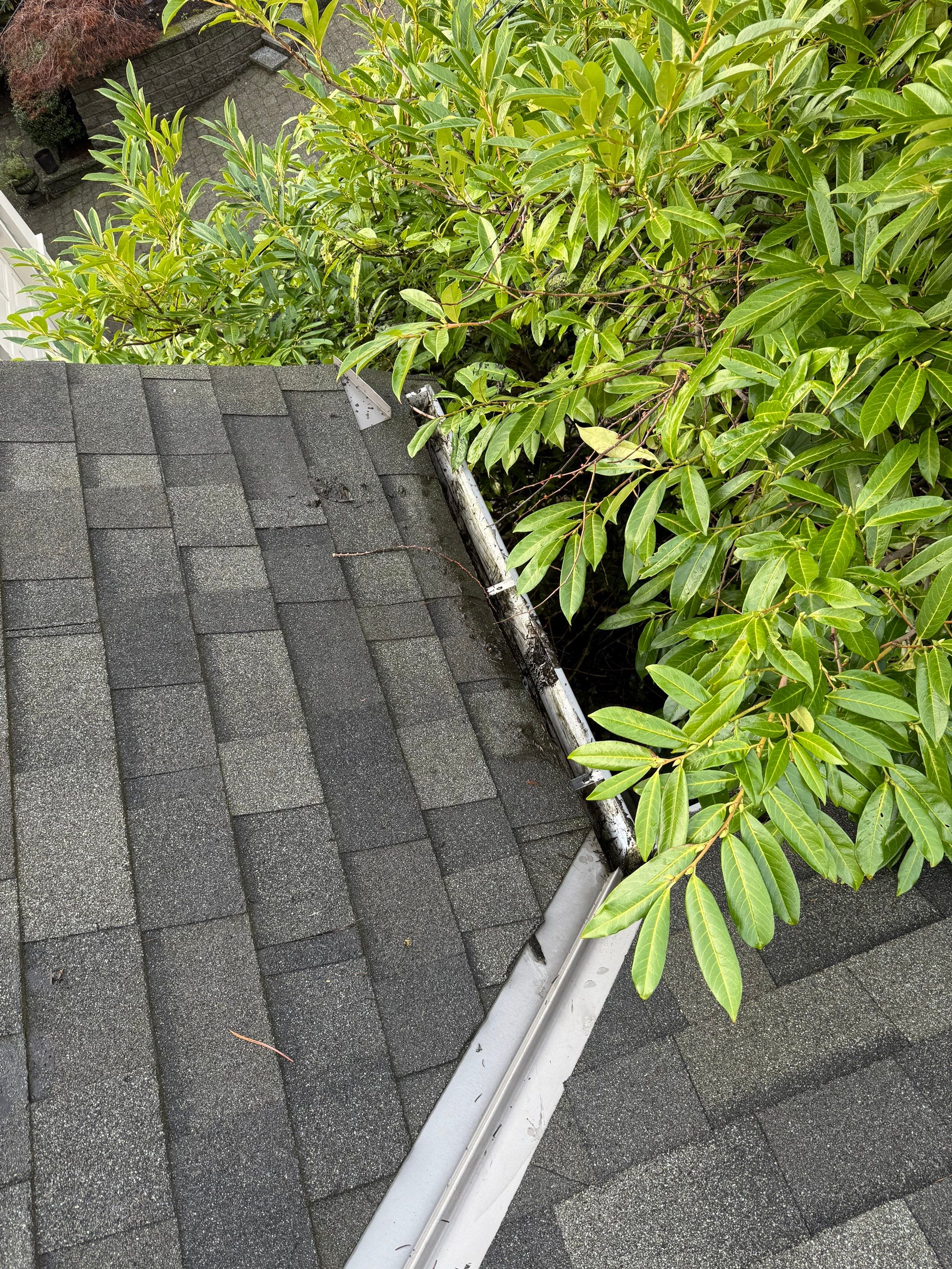 Gutter Cleaning by YVR Construction Group