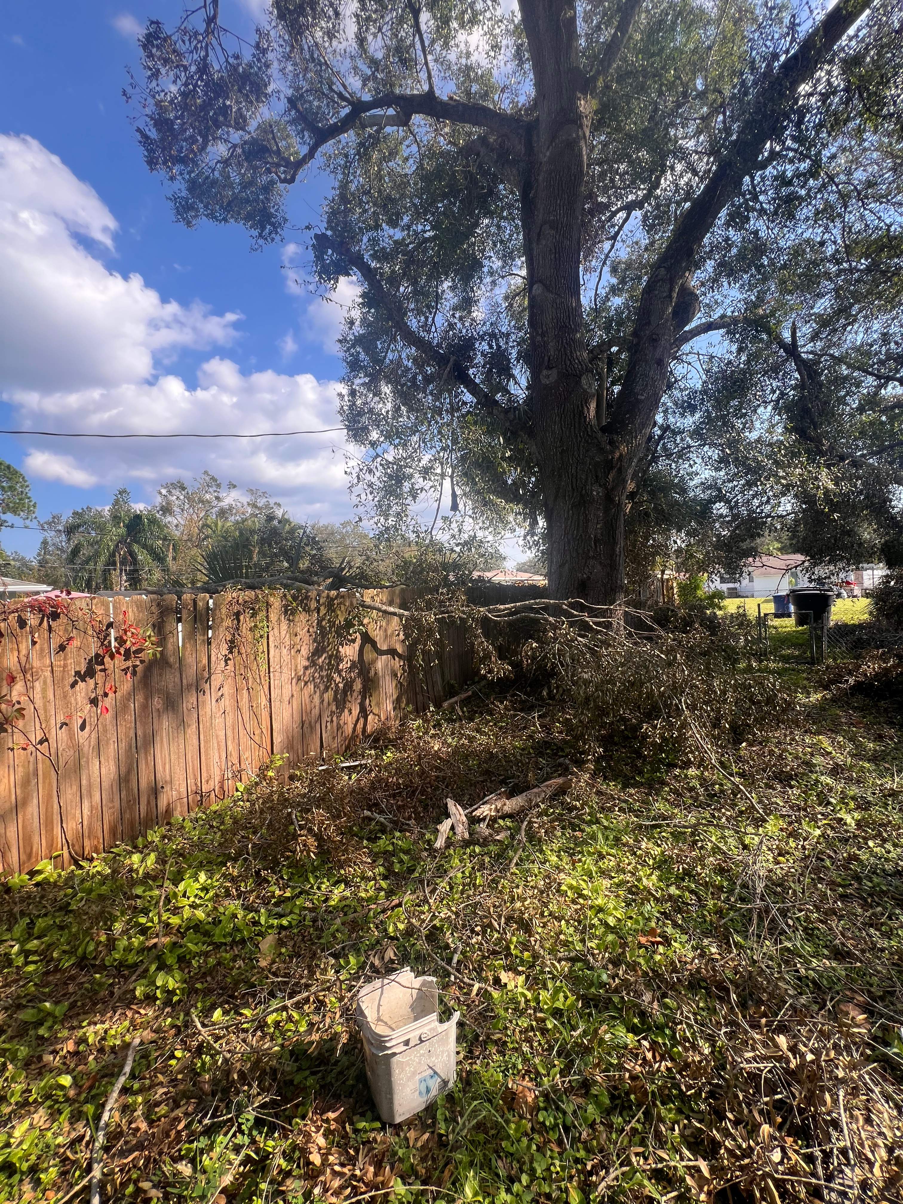 Hurricane Damage Claim in St. Petersburg by FLAPA & KeyStone