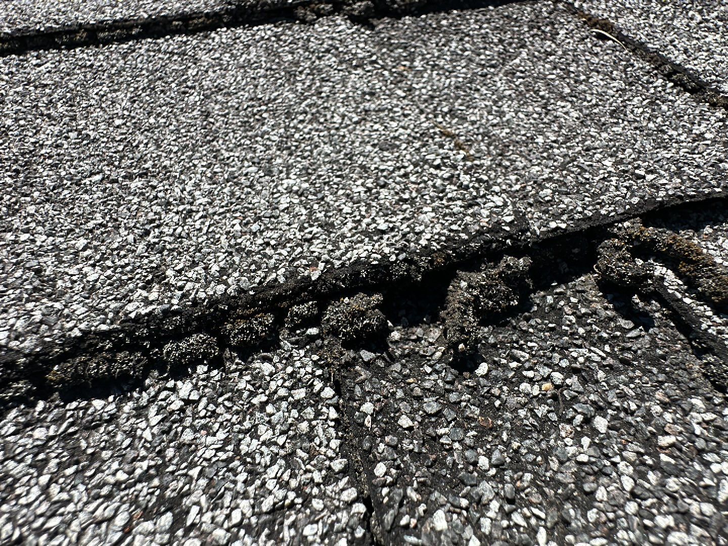 Graphite Shingles by Reimagine Roofing