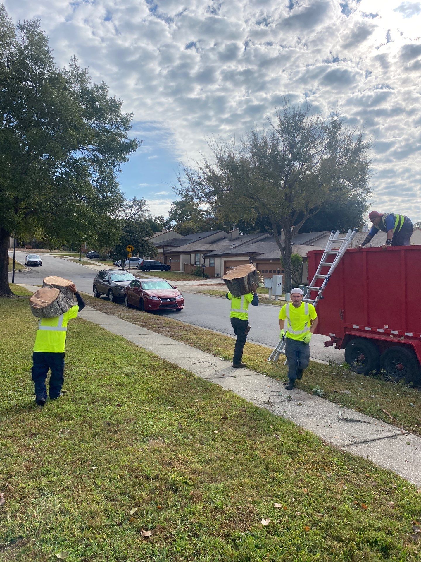 Residential | Tree Removal & Trimming by ProGreen Services