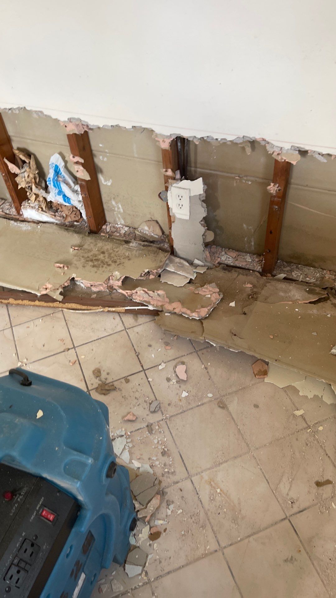 Mold Remediation  by THE RAPID TEAM