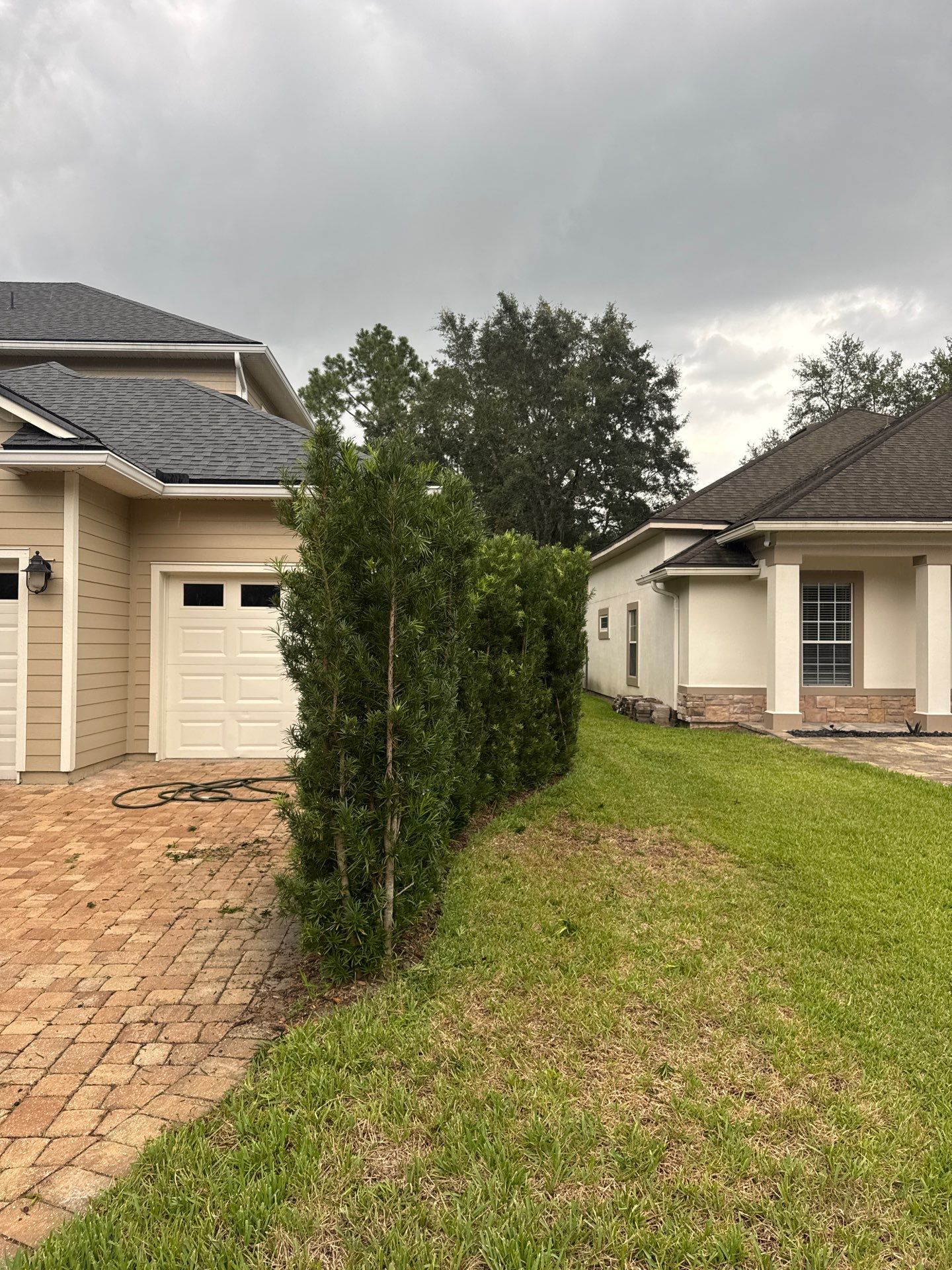 Residential | Sod Installation & Tree Trimming by ProGreen Services
