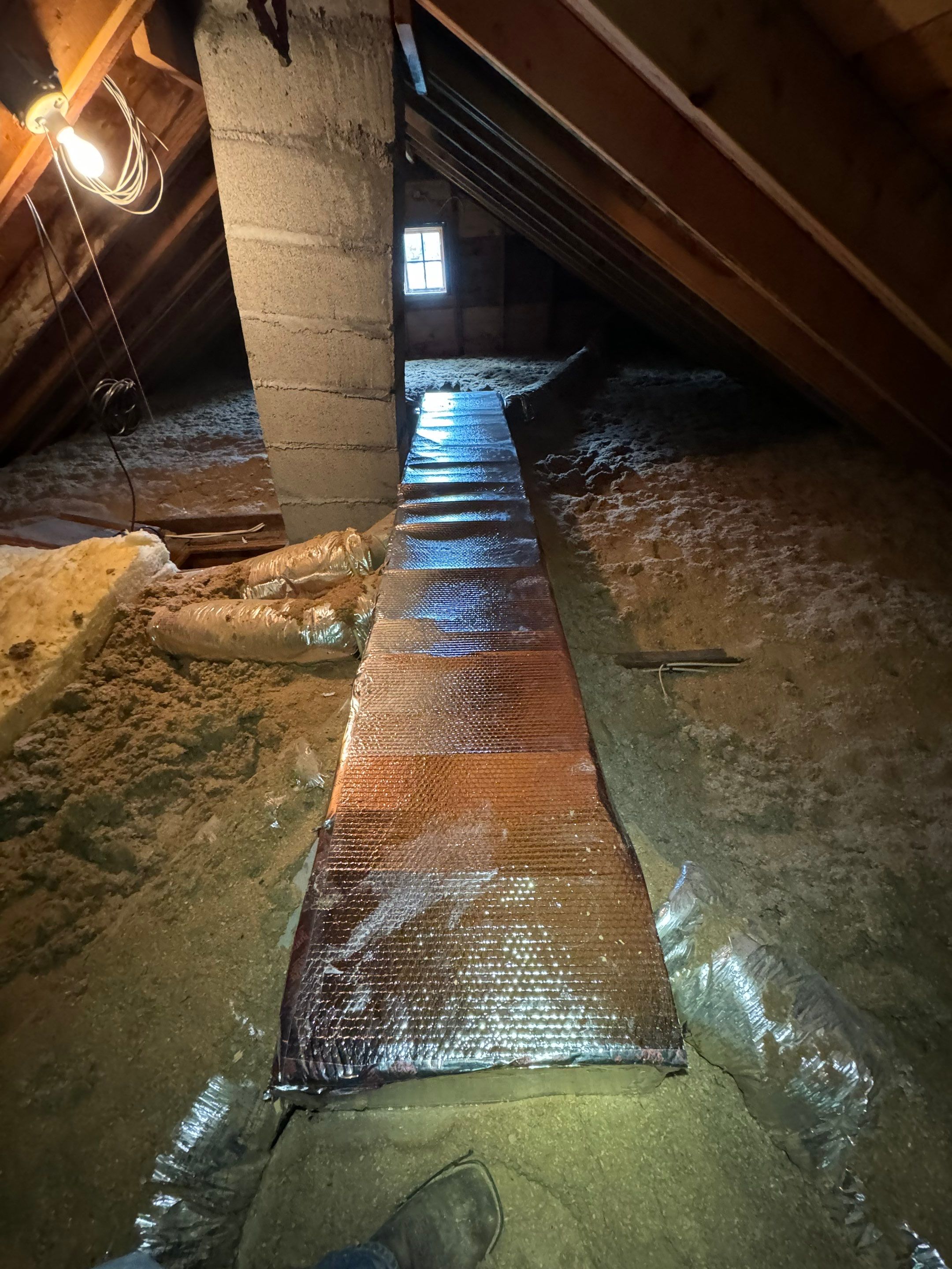 Mold Remediation (Basement) using Home Guarantee by Home Guarantee, LLC