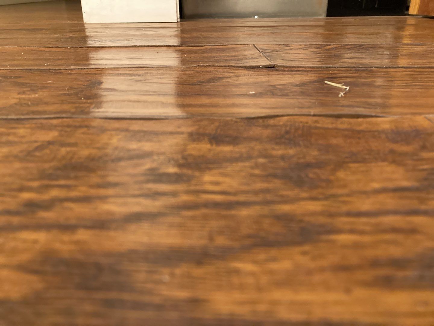 Sewage Backup using Air Scrubber by Accountable Home Services