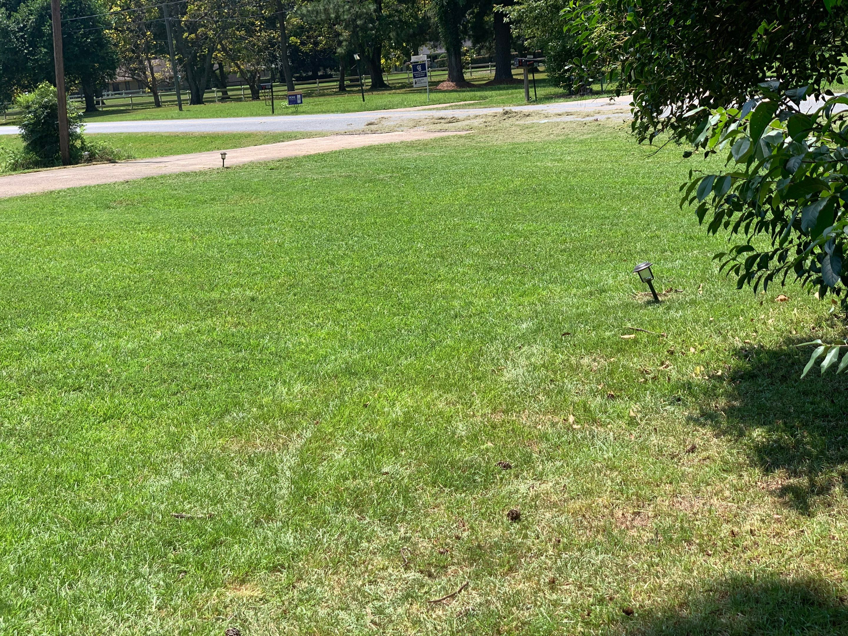 Yard Makeover by College Bros Outdoor services