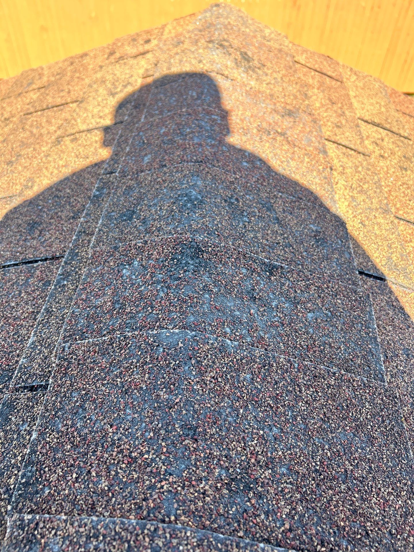 Roof and Siding Replacement using Norandex Cedar Knoll Graphite Siding and Owens Corning Durations in Onyx Black by WIW Enterprises Inc