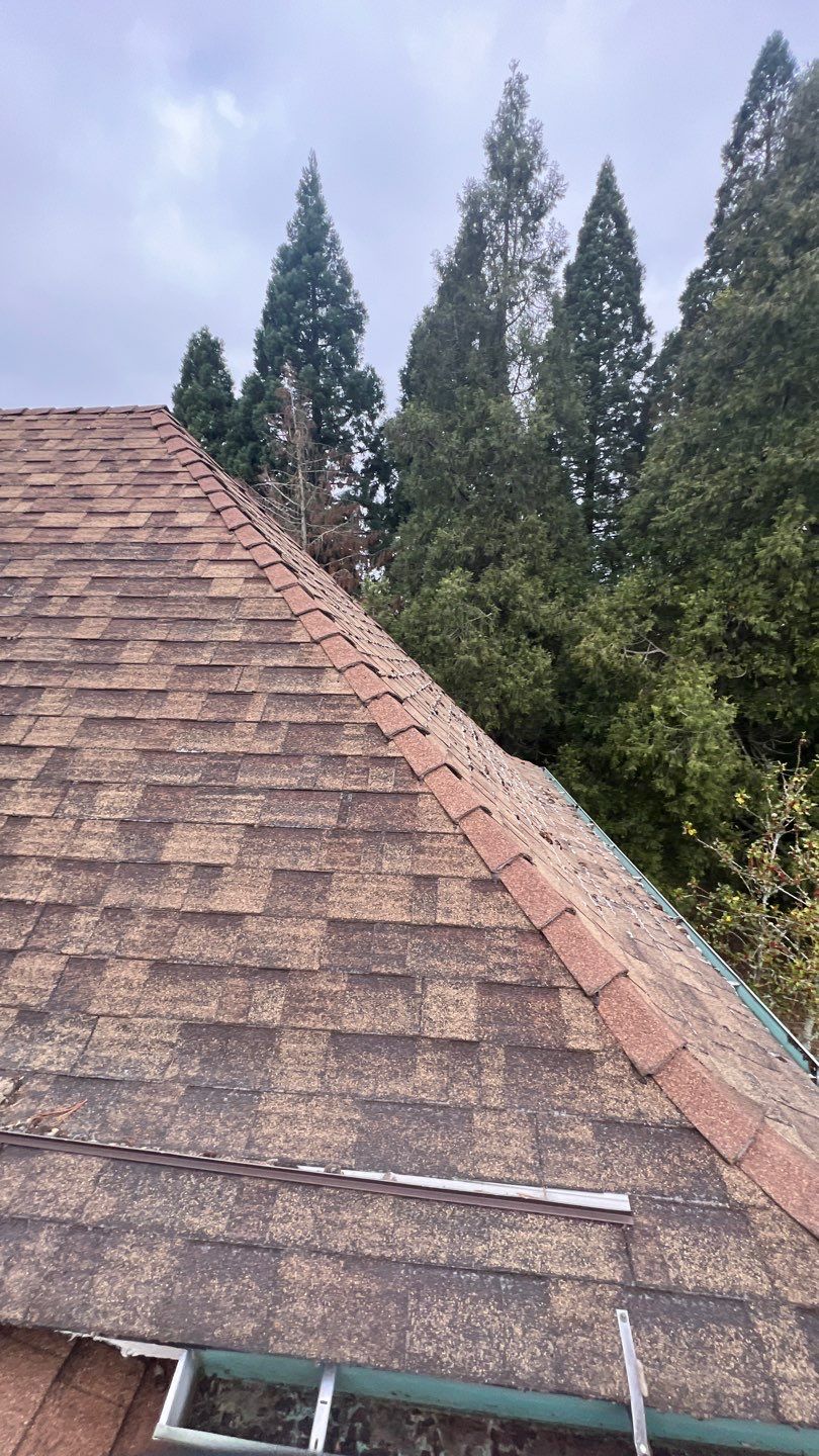 Residential Roofing Installation using Malarkey Vista AR Shingles by Orezona Building & Roofing Company, Inc.