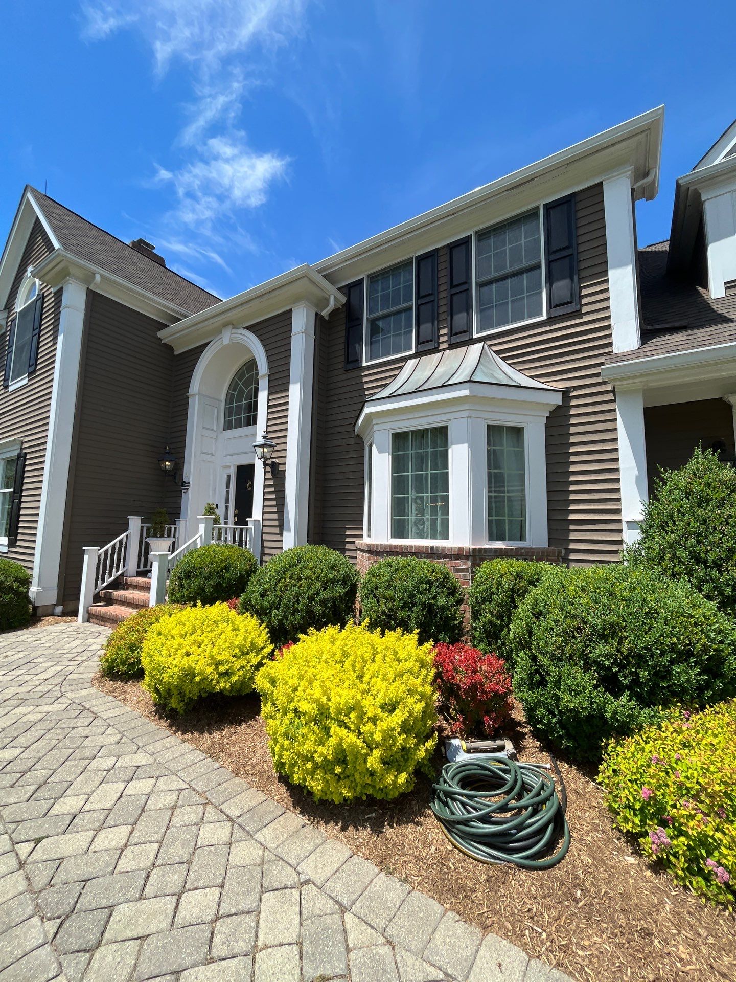 Comprehensive Ornamental Shrub Care in Peapack by Ants Plants