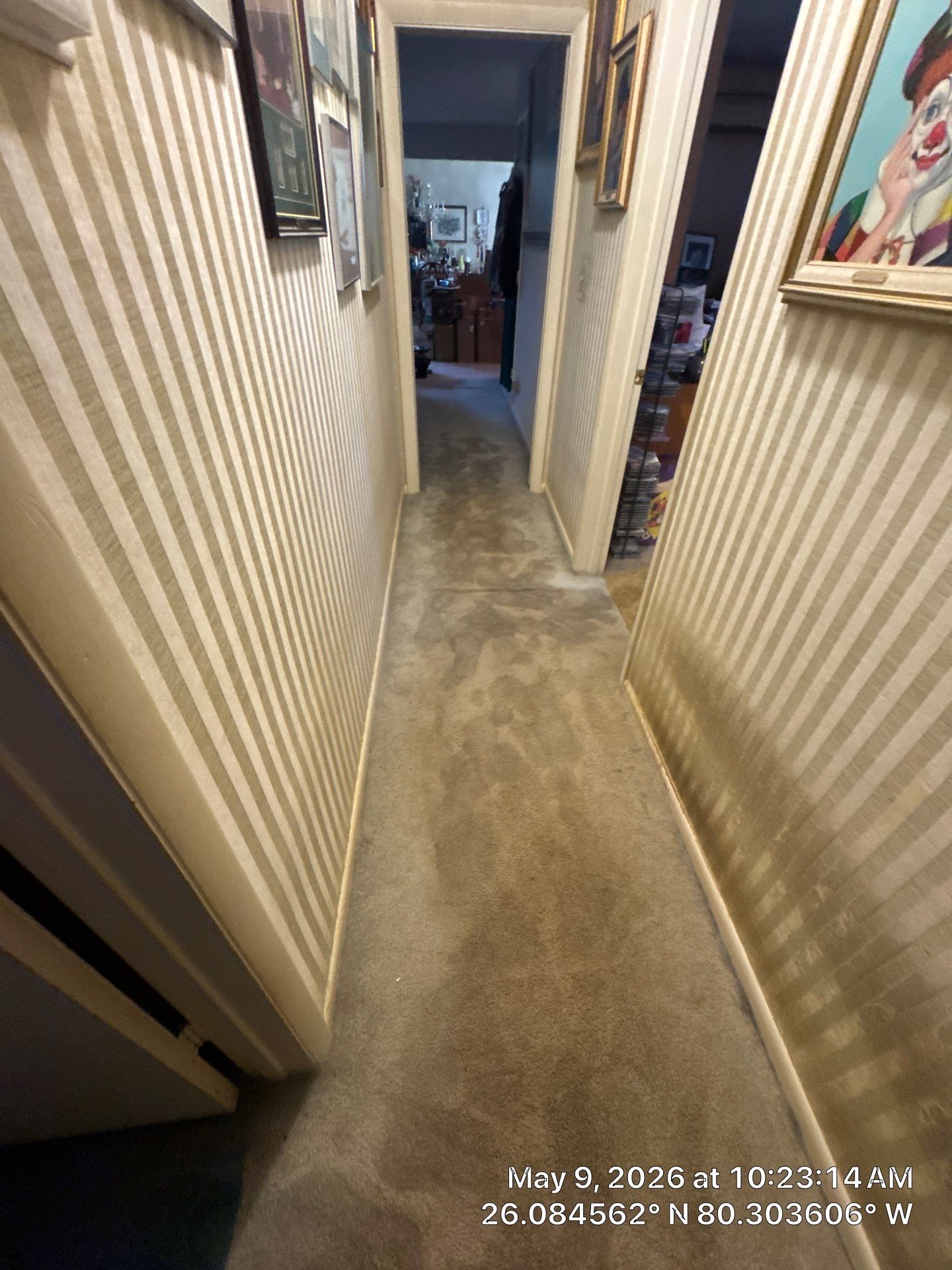Water Damage Restoration and Structural Drying Services in Davie by SuperClean 