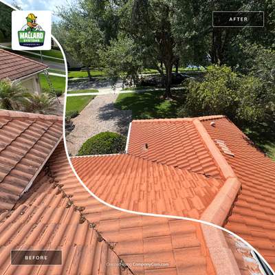 Barrel Tile Roof Cleaning