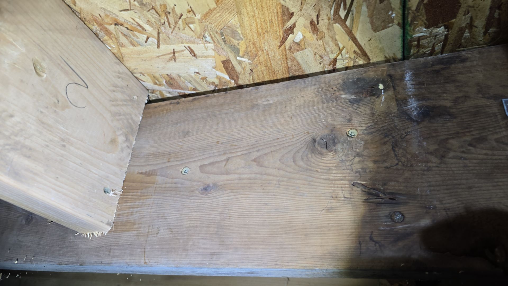 Structural Carpentry – Holland, Ohio by Toledo Basement Repair 