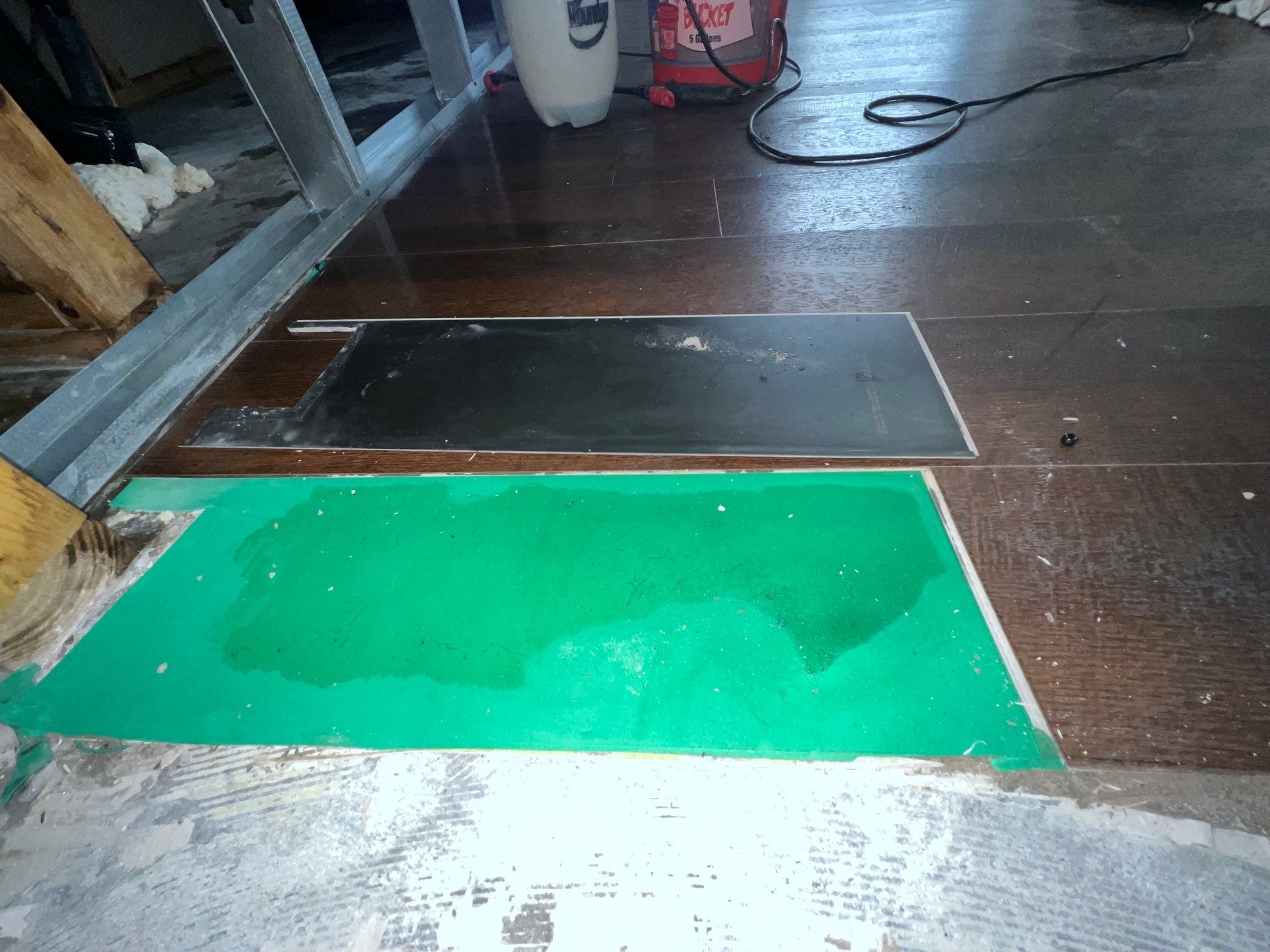 Stansell - water and mold photos  by THE RAPID TEAM