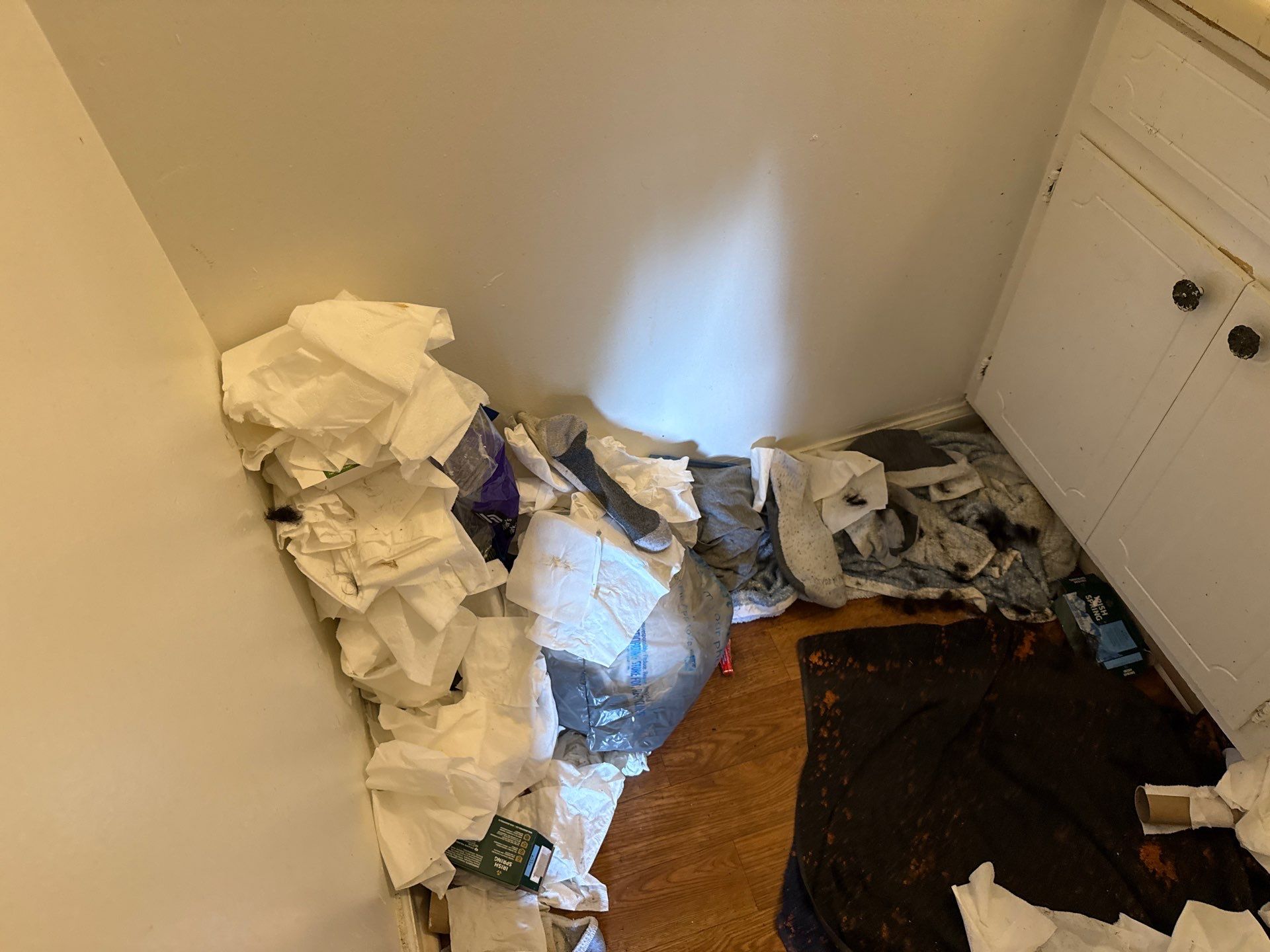 Project in Monroe by Badger Hauling