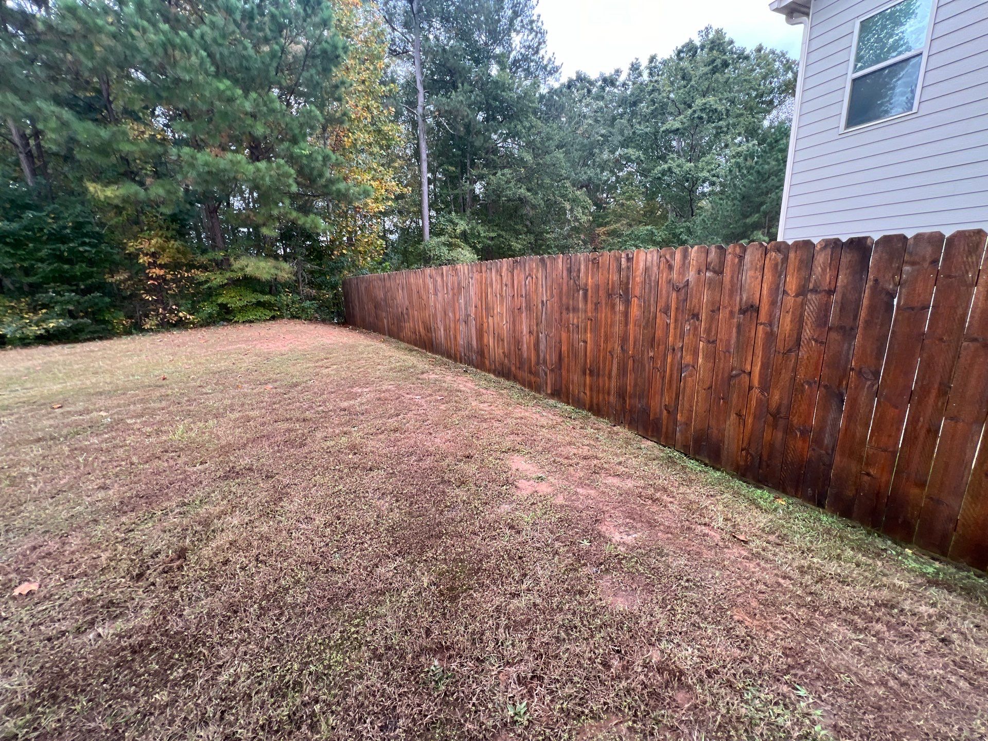 Fence Restoration using Chocolate by SSE by Titans of Timber Fence & Stain