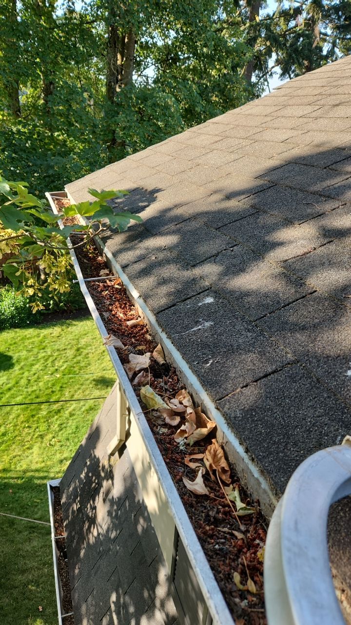 Gutter cleanup by Willamette Outdoor Wash LLC