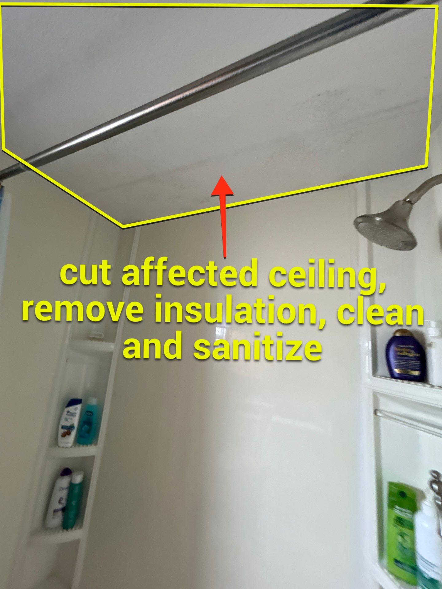 Mold Damage Inspection And Repair In Palmetto FL by Ampm Restoration Services